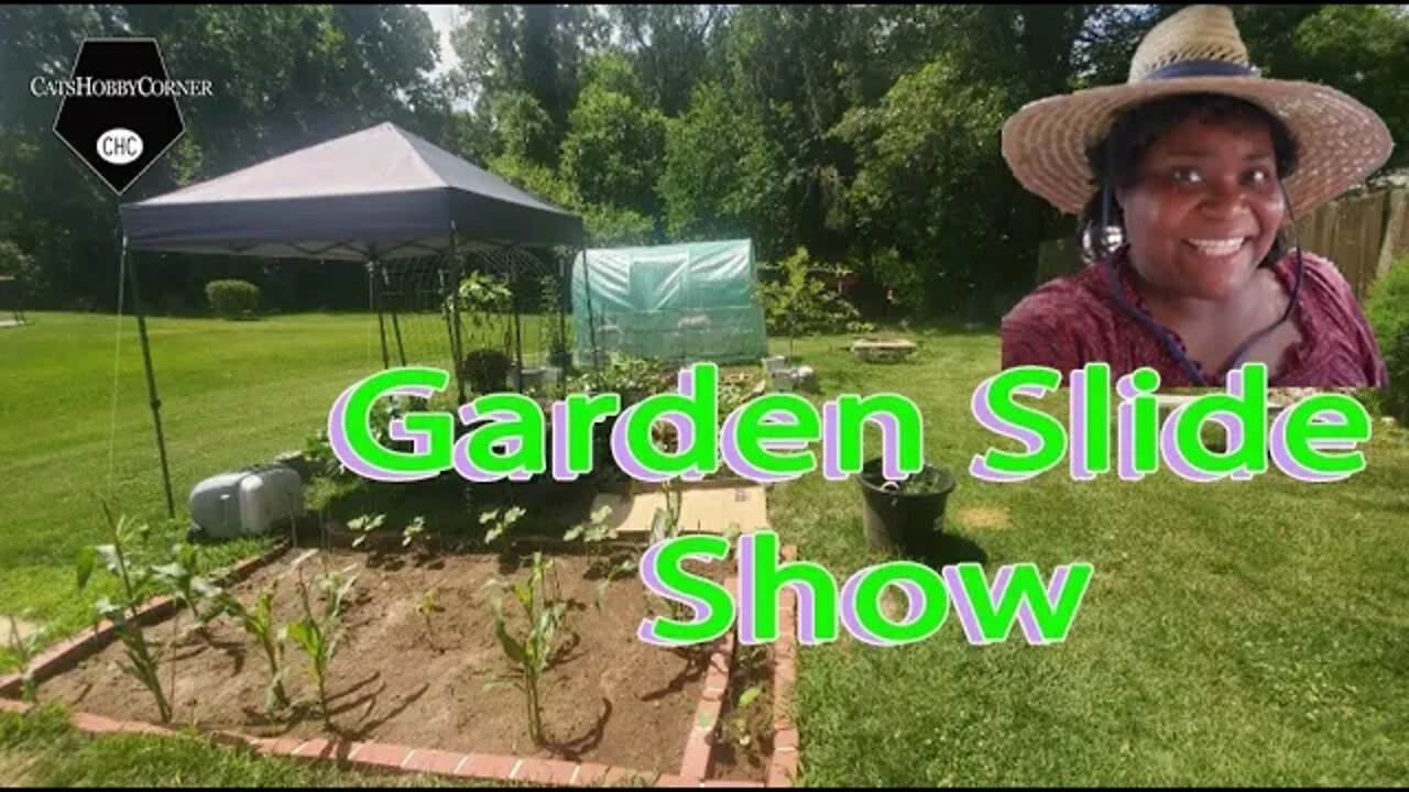 Veggie Garden Slideshow - 22Jun22