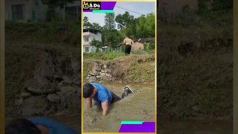 New Funny Video 2022 | Try not to laugh #funny #trend #shorts | P 20