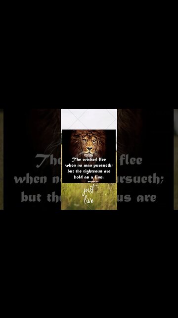 🌈👇 GOD'S MESSAGE FOR YOU TODAY!🌈MIRACLES WILL HAPPEN TODAY! 👇