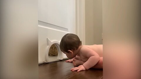 The cat is playing with the child