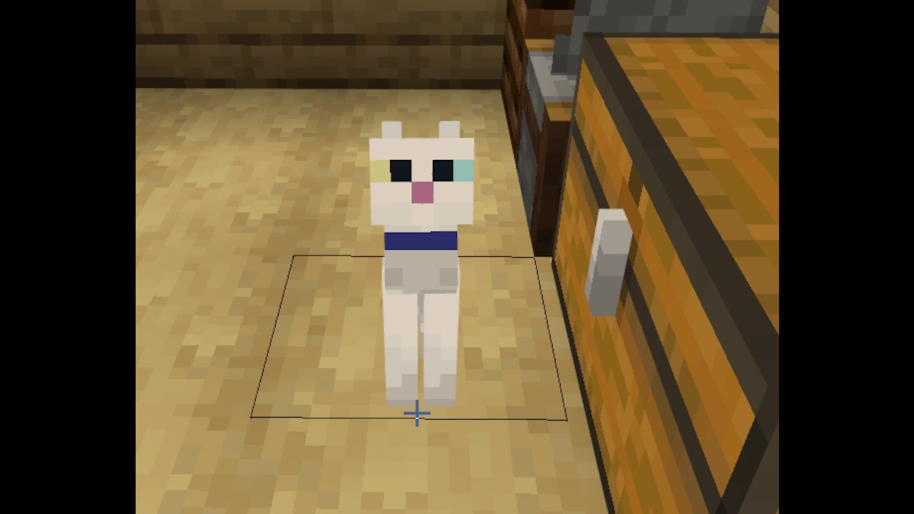 minecraft cat