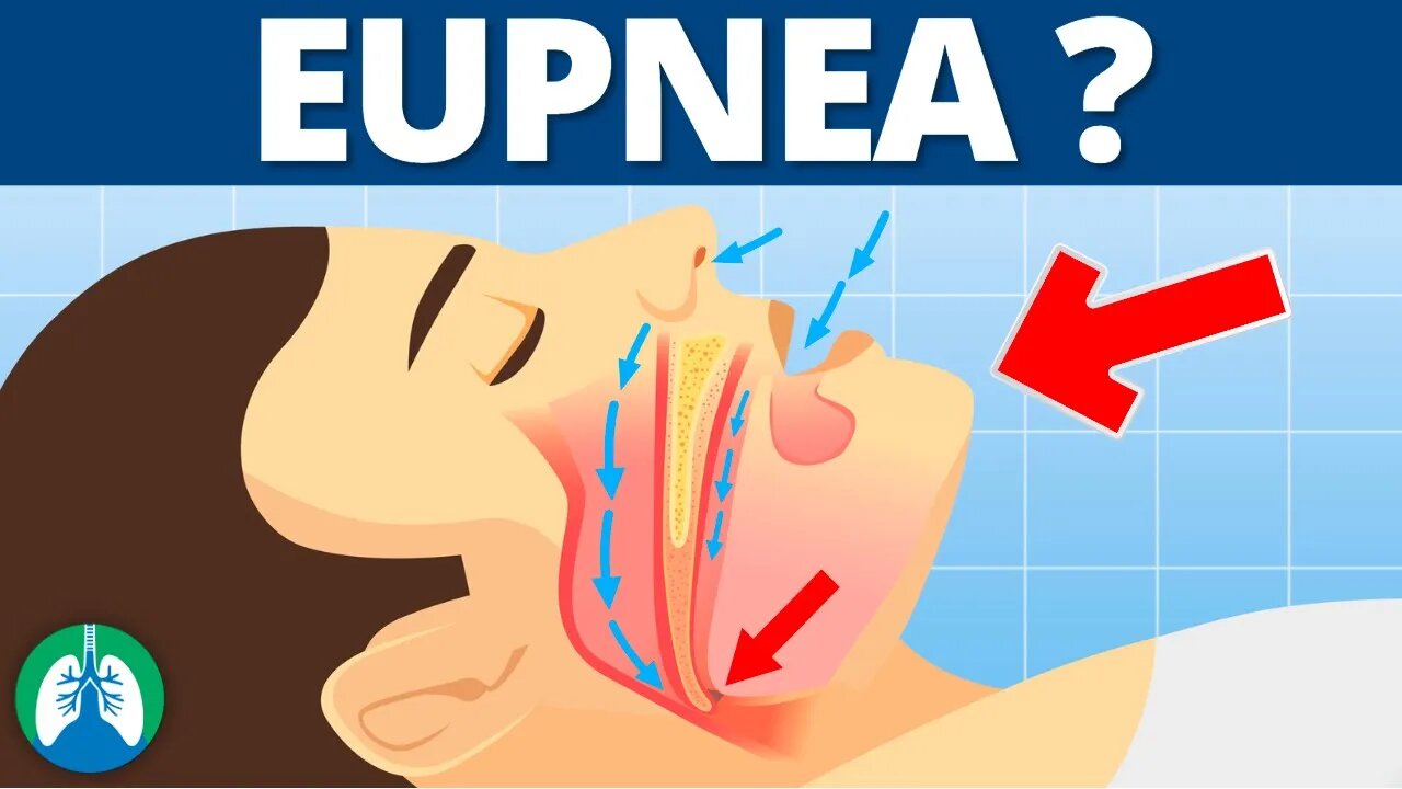 Eupnea (Medical Definition) | Quick Explainer Video