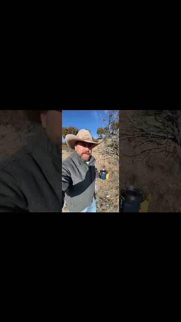 Where are the Buffalo Fossils?