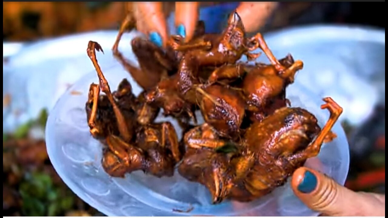 EXOTIC Vietnamese food tour! SUPER RARE street food of Hanoi Vietnam