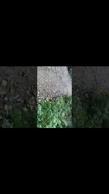 EastEnders actress Josephine Melville has died. But do not question this death or any of the deaths