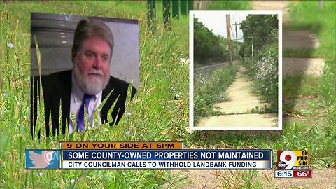 Who owns these decaying houses and weedy lots?