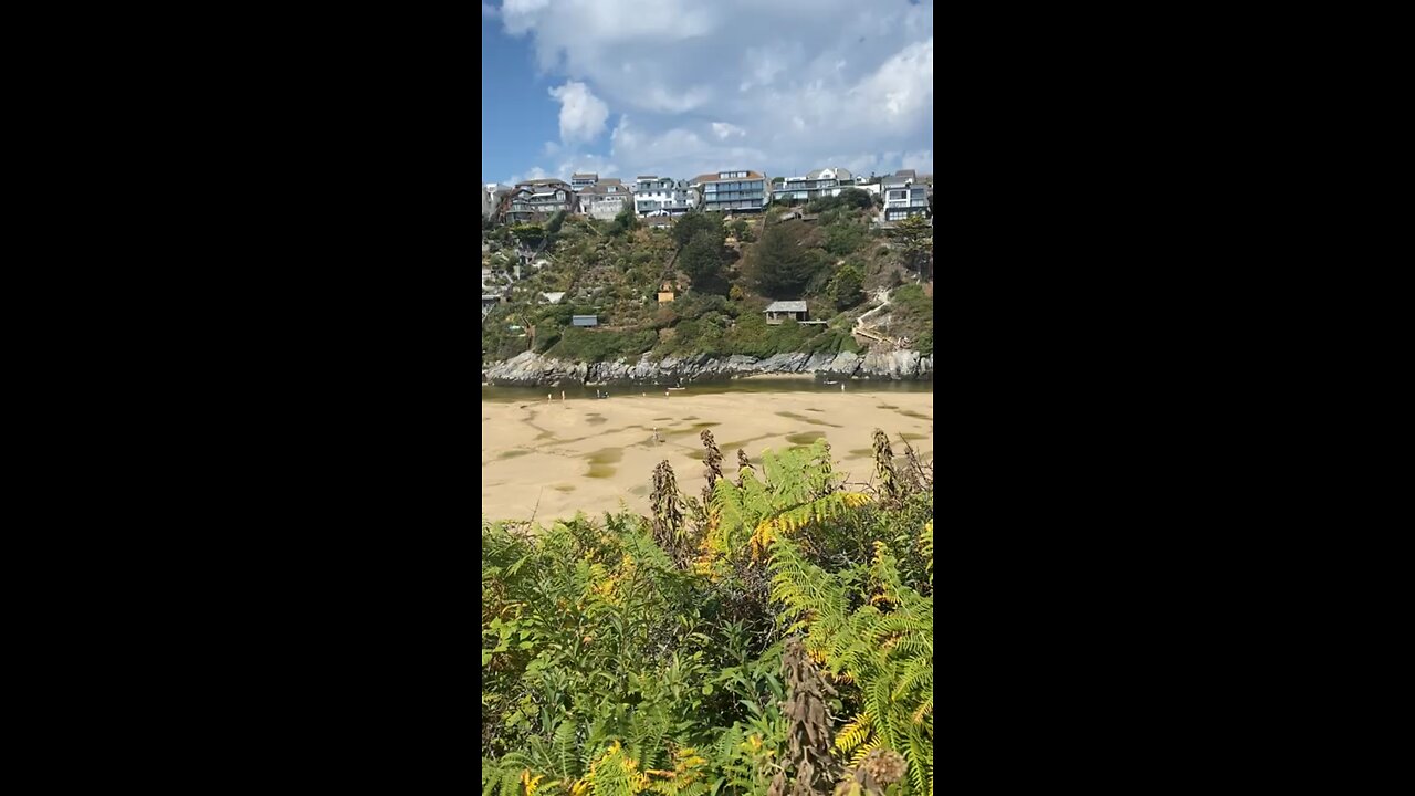 Our office dog is loving his annual holiday to Crantock Beach, Newquay, Cornwall