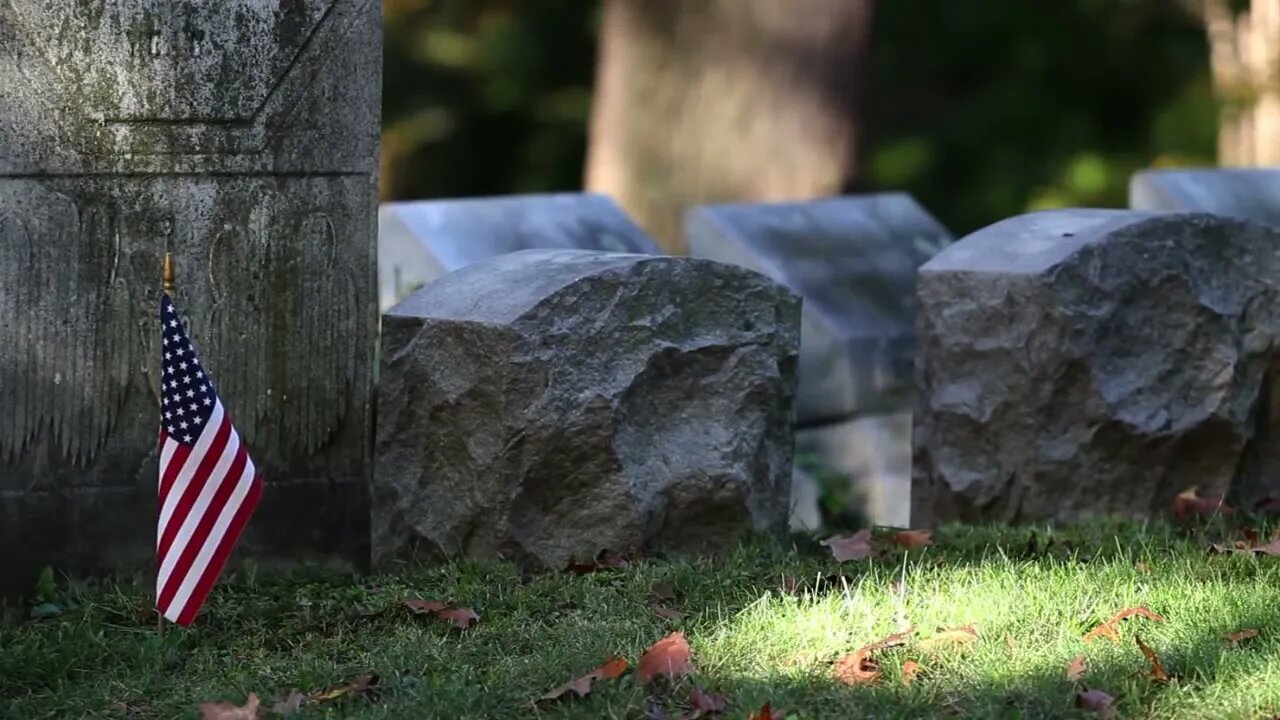 Beachfront B roll Cemetery Flag Free to Use HD Stock Video Footage