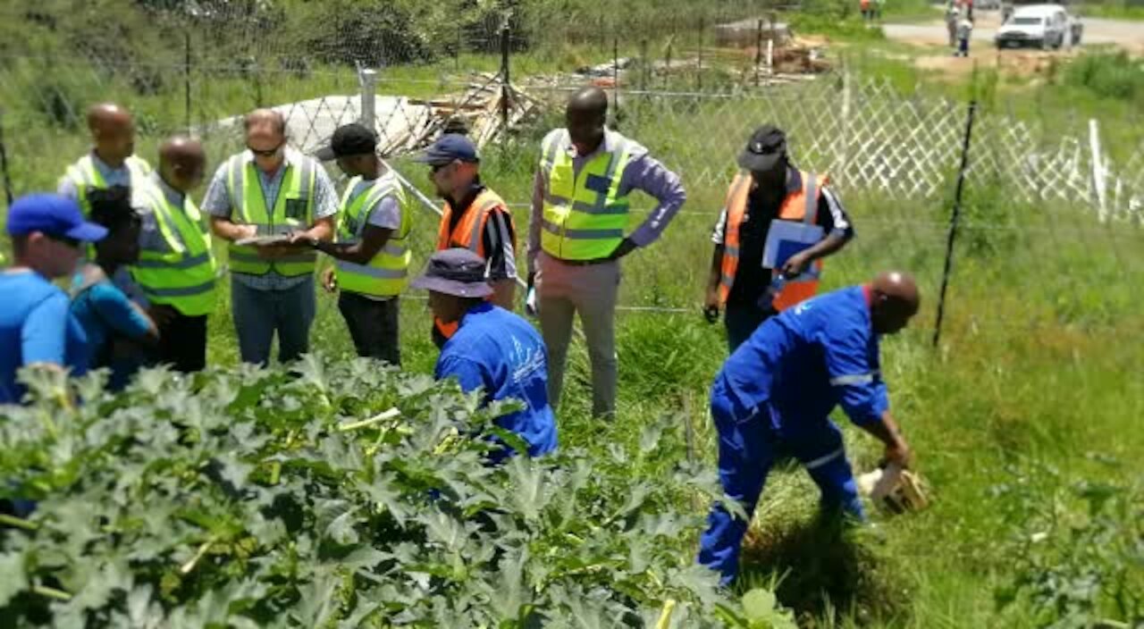 Developers caught stealing electricity and water in Joburg (Dk9)