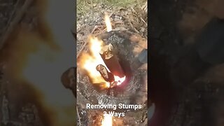 Removing Stumps 3 Ways #Shorts