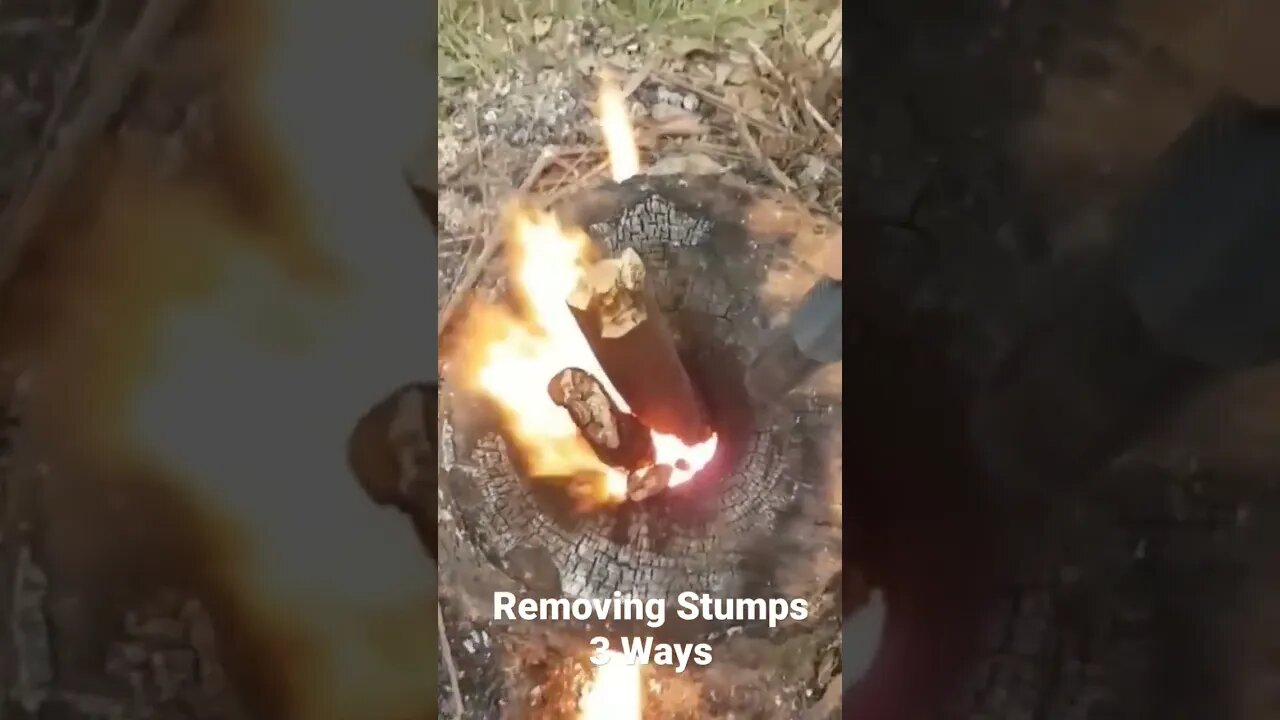 Removing Stumps 3 Ways #Shorts