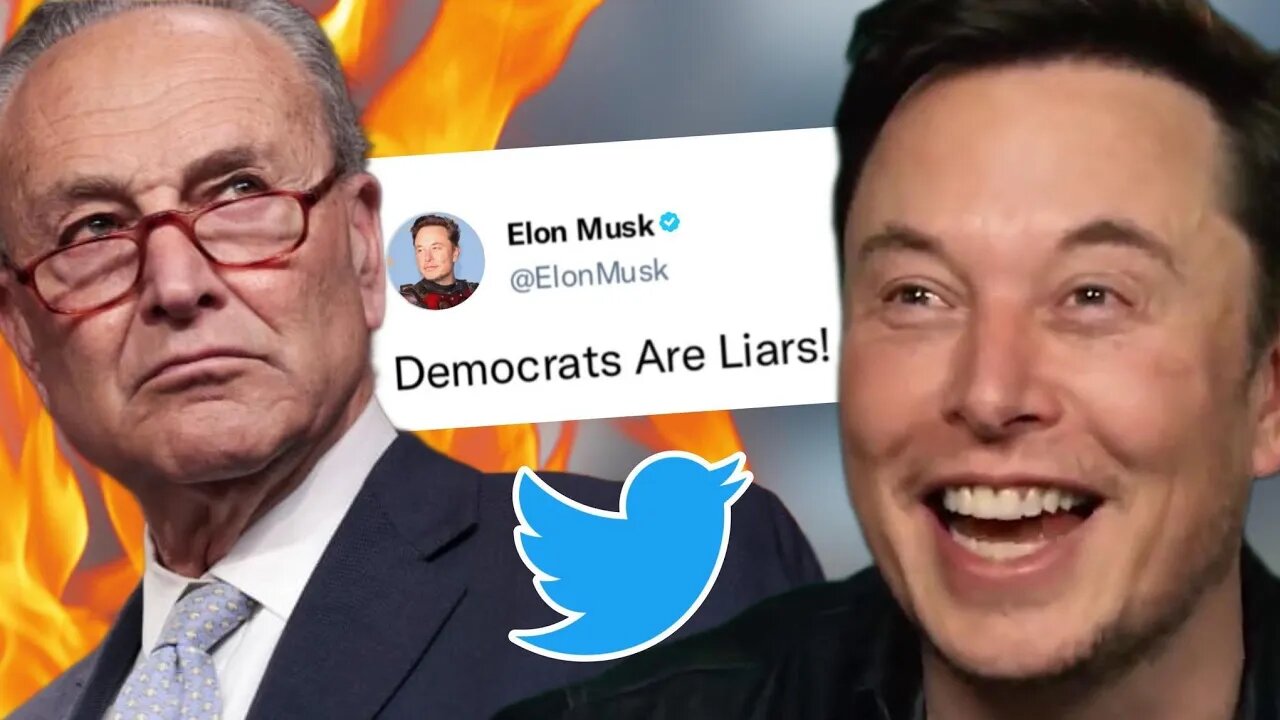 Elon Musk's LEGENDARY Troll on Chuck Schumer Over Jan 6th Nonsense