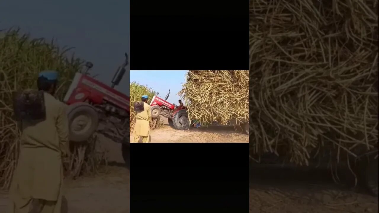 Pakistani tractor best driver in Pakistan