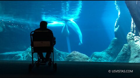 Georgia Aquarium [2017-10-06]