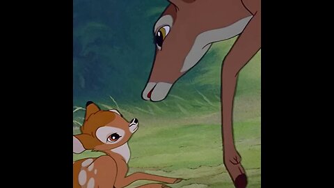 Forest rain animal cartoon