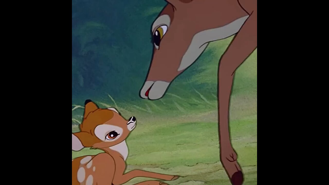 Forest rain animal cartoon