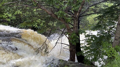 Backyard waterfalls