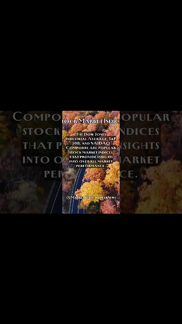 Stock Market Indices: Untangling the Mysteries of Stock Market Benchmarks Fact #16 #shorts