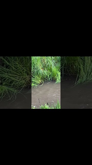 Catching up to Mum....