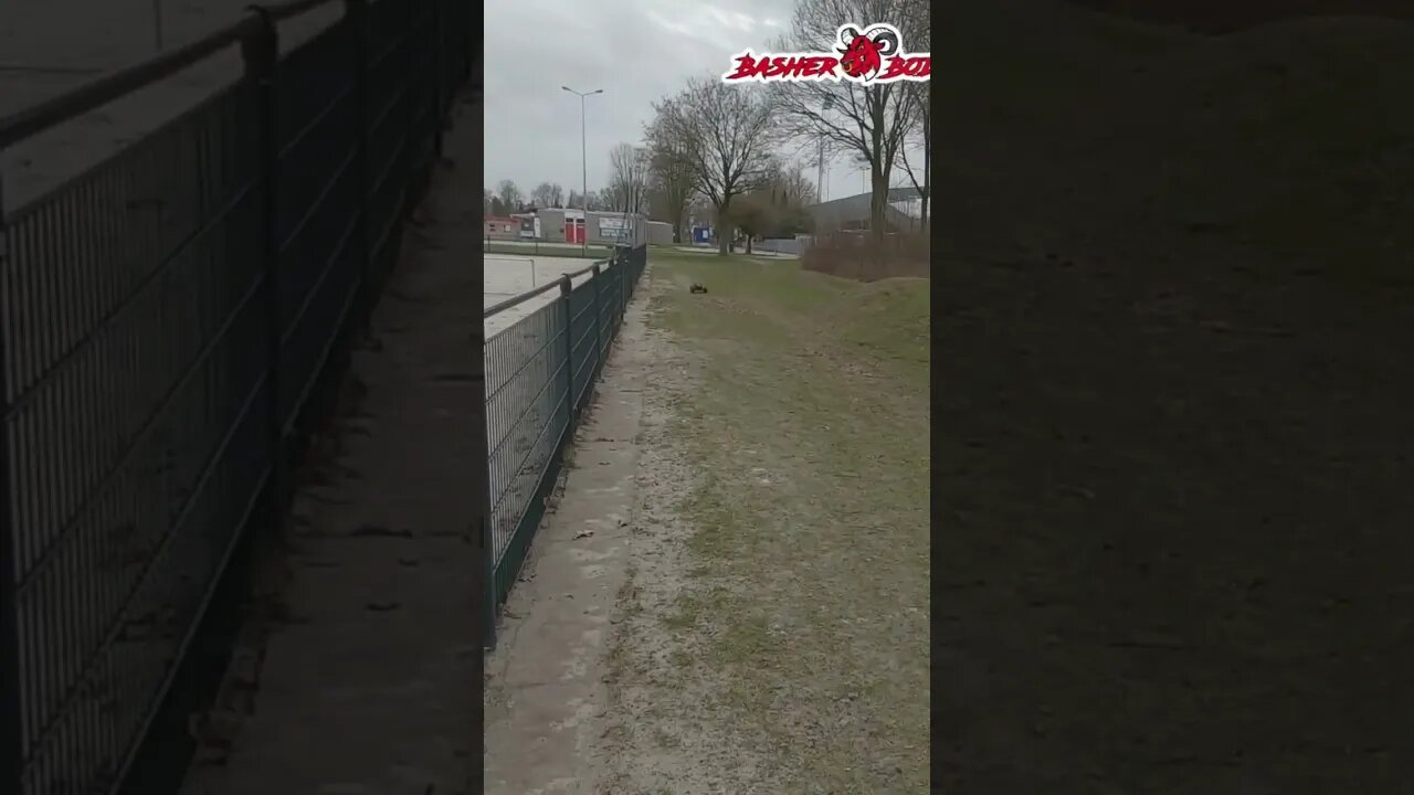 Arrma fireteam action