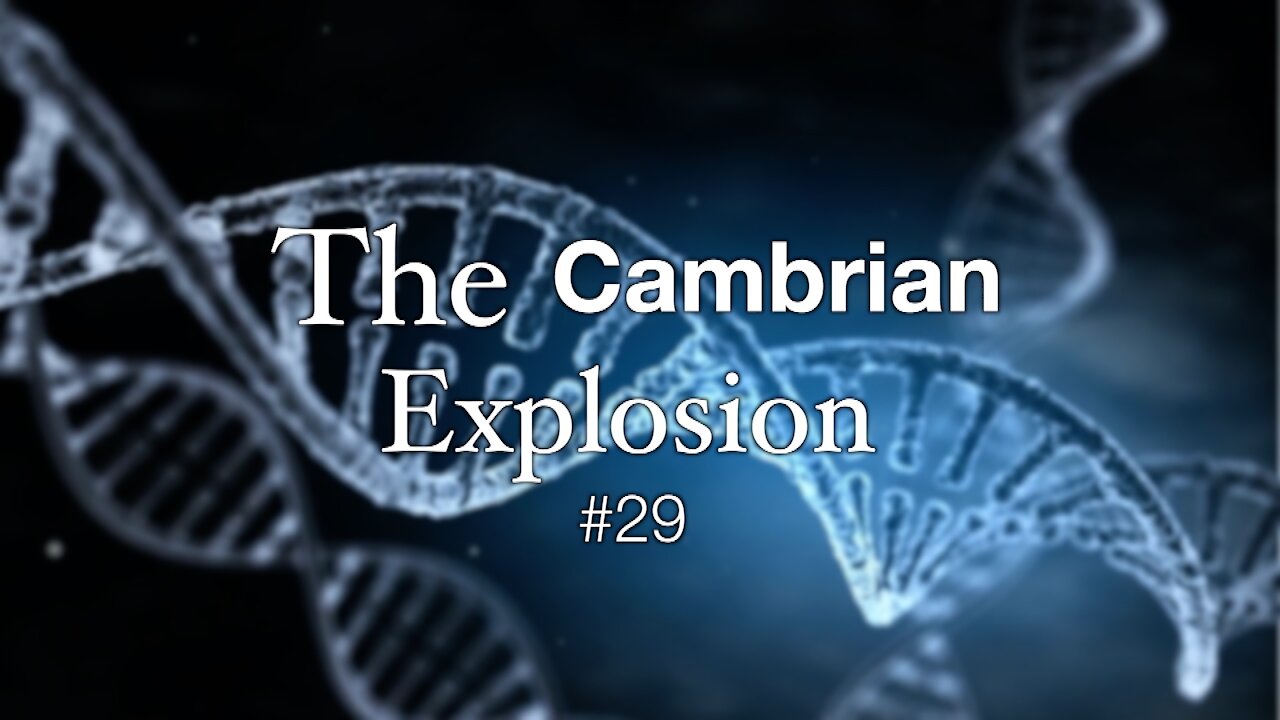 The Cambrian Explosion