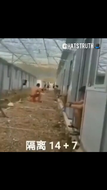 The Future Worldwide if we dont Stand Up Against This Satanic Terrorism!