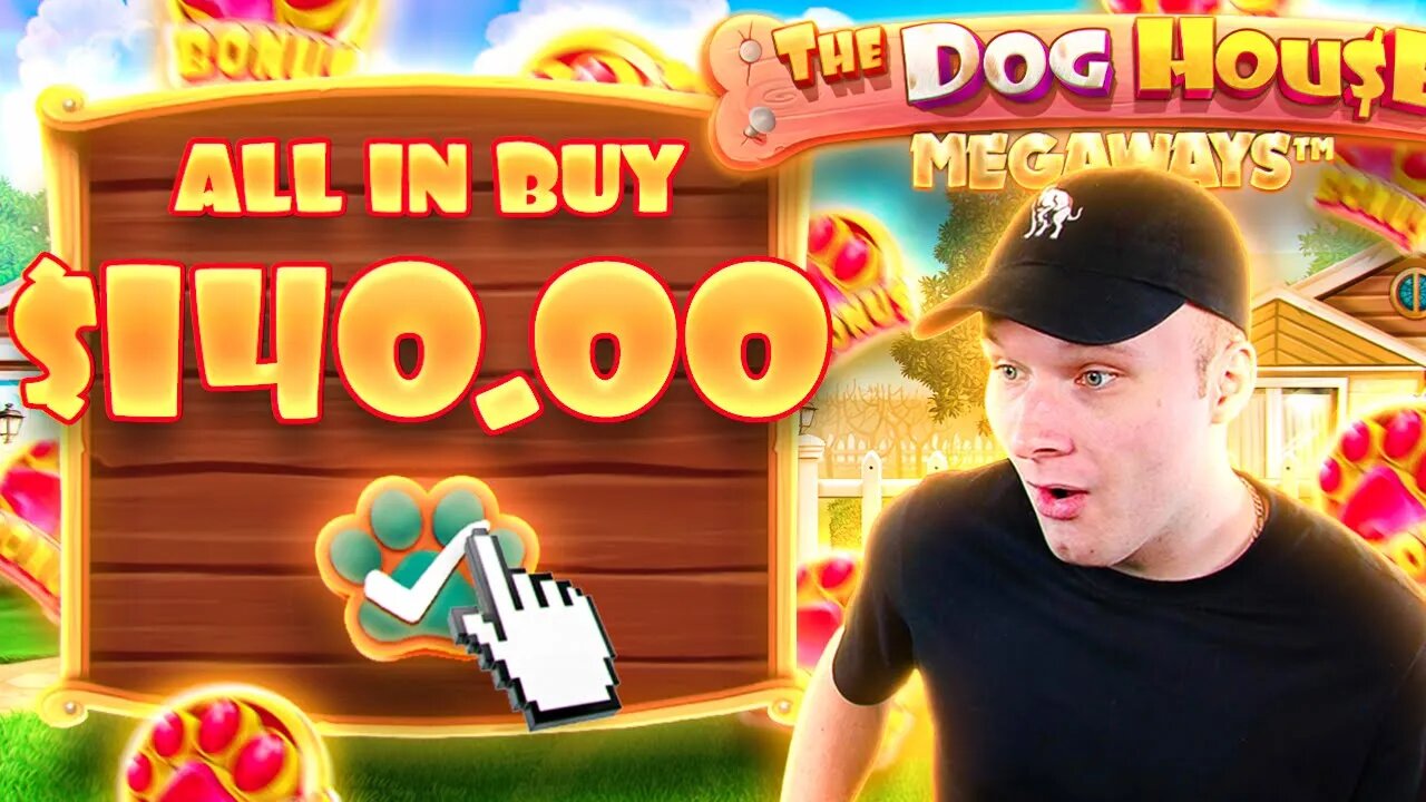 INSANE SETUP ON ALL IN DOG HOUSE MEGAWAYS BONUS BUY!