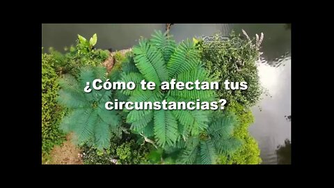 ¿Cómo Te afectan las circunstancias ?