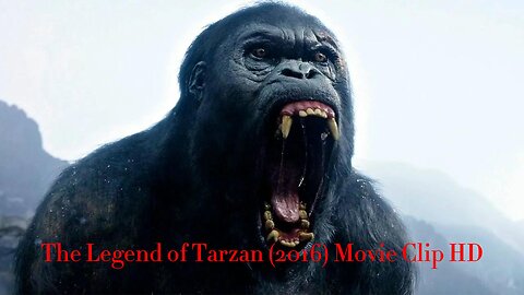 Tarzan vs Mbonga - Fight Scene - The Legend of Tarzan (2016) Movie Clip HD