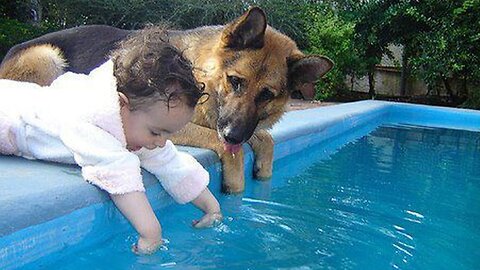 When your dog becomes the trusted nanny - Cute Moments Dog and Human