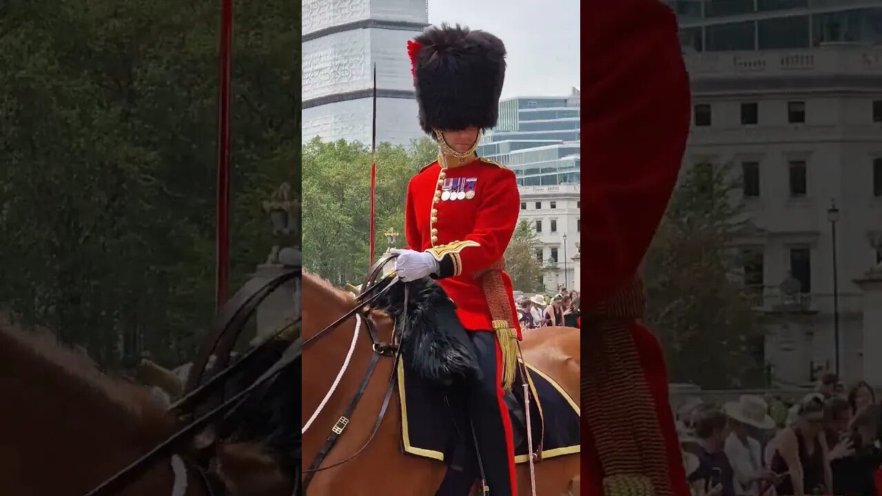 Coldstream guard on horse back on the mall #buckinghampalace