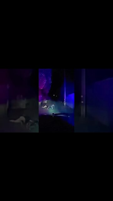 Watch now the adventure of catching a dangerous criminal who shoots everyone and does not care about