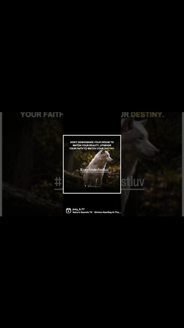 #shorts #youtubeshorts #inspiration #dailyquotes