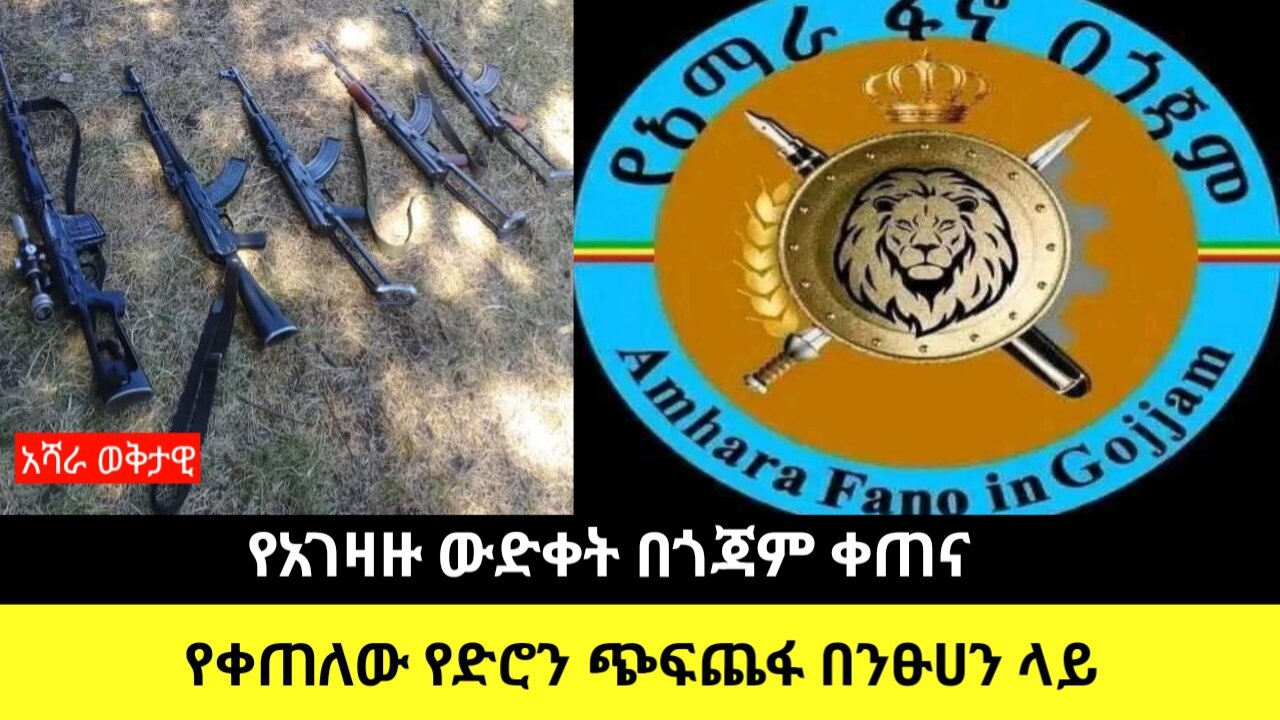 የአገዛዙ ውድቀት በጎጃም ቀጠና/የቀጠለው የድሮን ጭፍጨፋ በንፁሀን ላይ