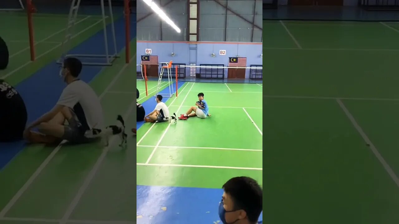 Calm down kiddo #shorts #shortsfeed #clips #shortvideo