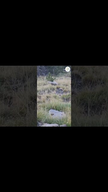 Dealing with regrets after stopping drinking. #shorts #regrets #sober