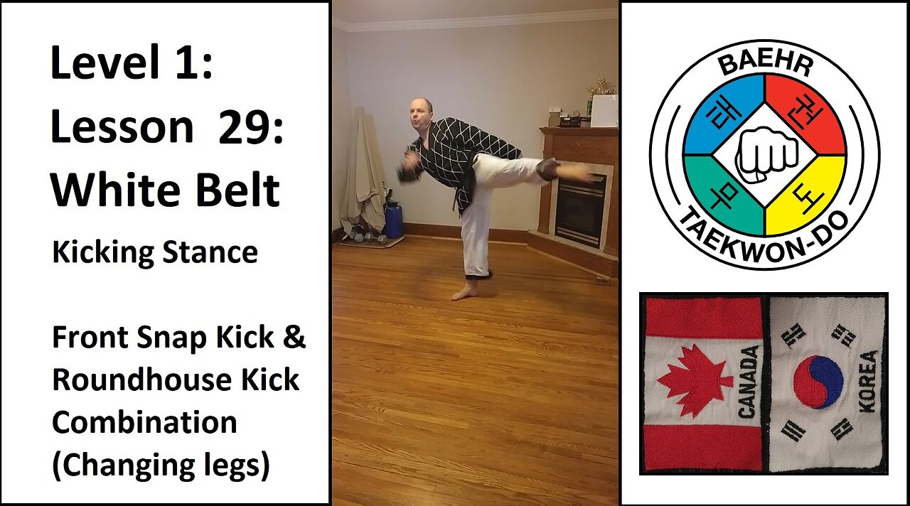 Baehr Taekwondo: 01-29: White Belt: Kicking Stance - Front Kick and Roundhouse Kick Combo