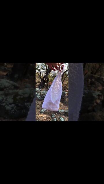 Create Your Own Chic Tunisian Crocheted Bramble Basket: Perfect for Organizing and Decorating!