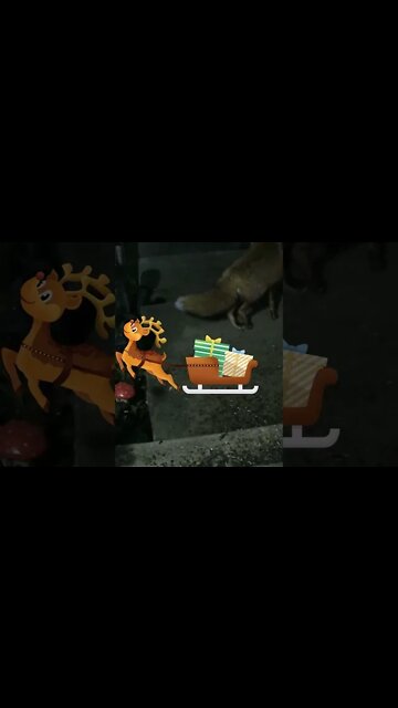 Rudolph Comes To Visit #Shorts 🎄