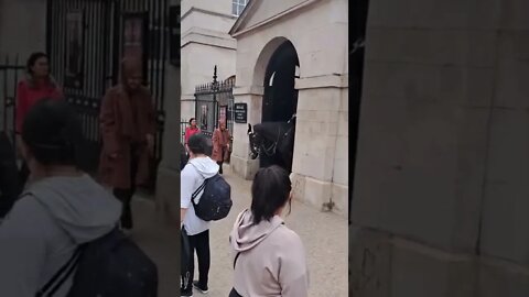 Horse couaght camera stealing woman's handbag #horseguardsparade