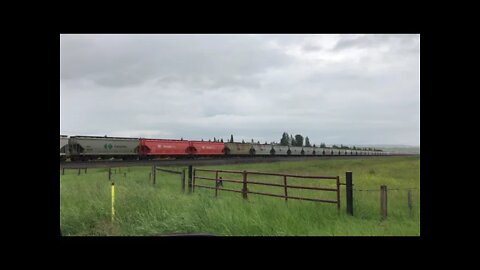 CP Potash Eastbound at Cochrane in the rain