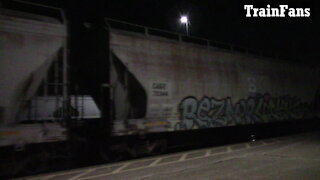Manifest Train 396 CN 2902 & CN 3676 Locomotives In Ontario