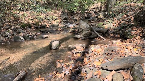 Spring Source - 1st Attempt