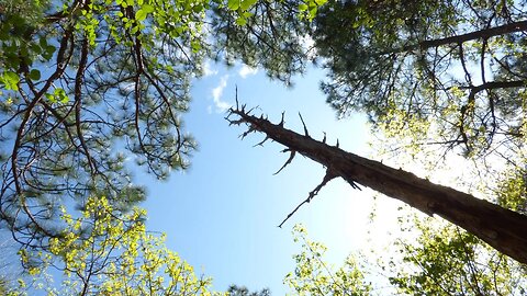 Oak Mountain State Park Green Trail Hike. Slideshow.