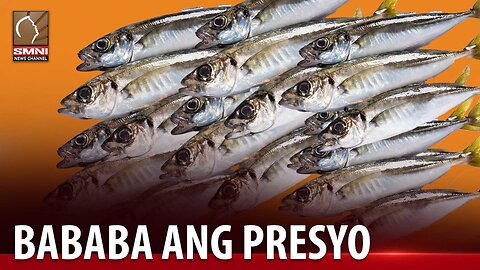 Presyo ng galunggong sa merkado, inaasahang bababa na sa P130/kg sa susunod na buwan −DA