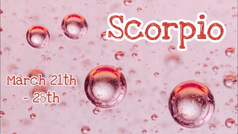 Scorpio ♏️