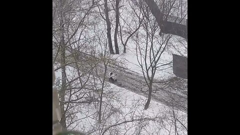 Как гуляют с детьми хищник