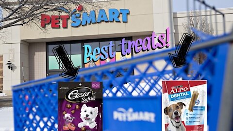 Reviewing dog foods from PetSmart by B&D Product & Food Review