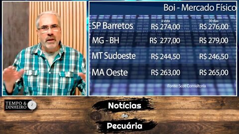 Boi gordo joga todas as cartas em uma possível alta em dezembro