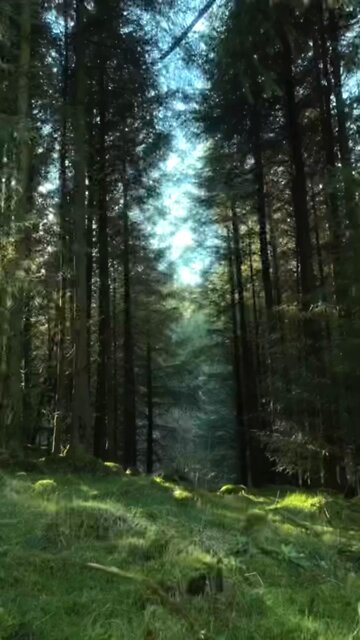 Pray For Healing In JESUS Name 🙏🙏🙏